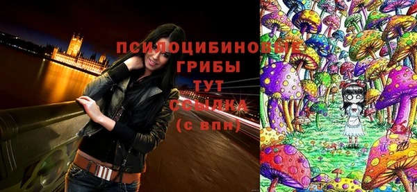 apvp Абинск