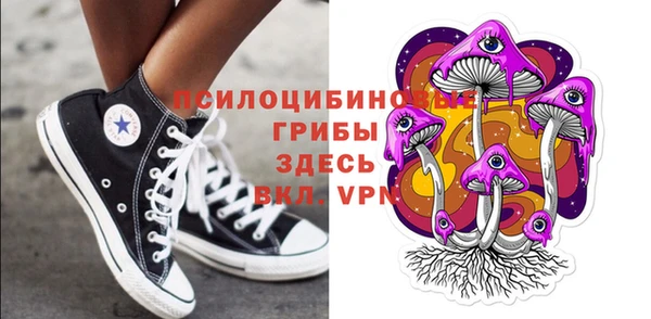 стаф Абаза