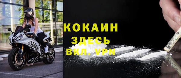 стаф Абаза